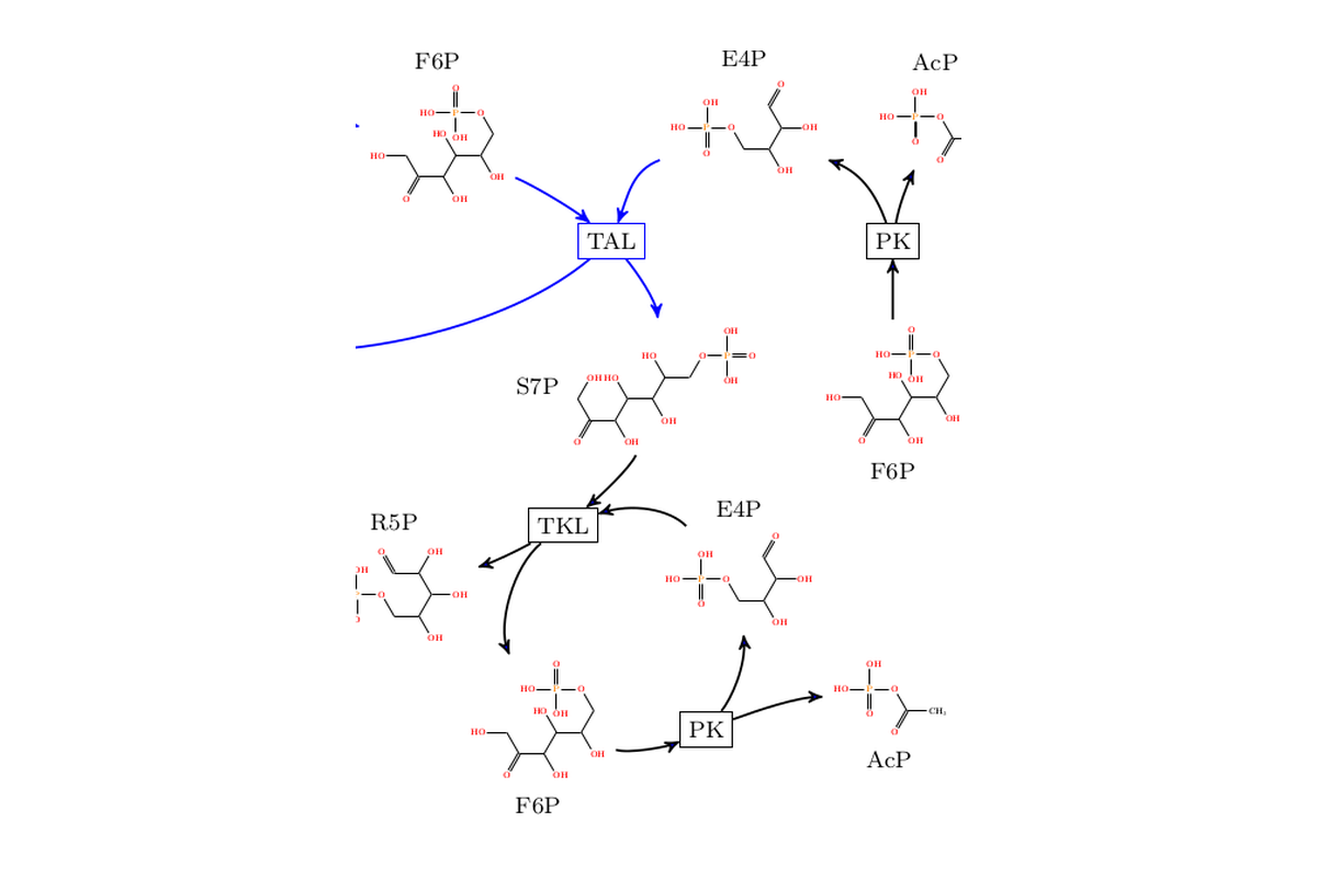Chemical pathway represented as an integer hyperflow