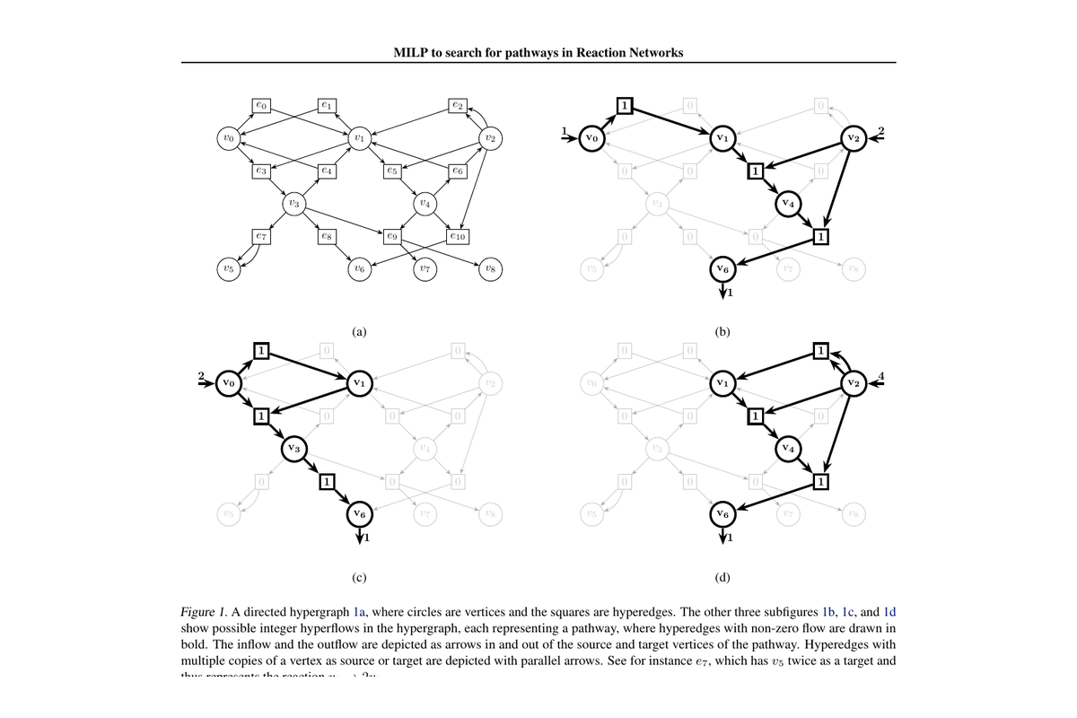 Alternative integer hyperflows through a reaction network