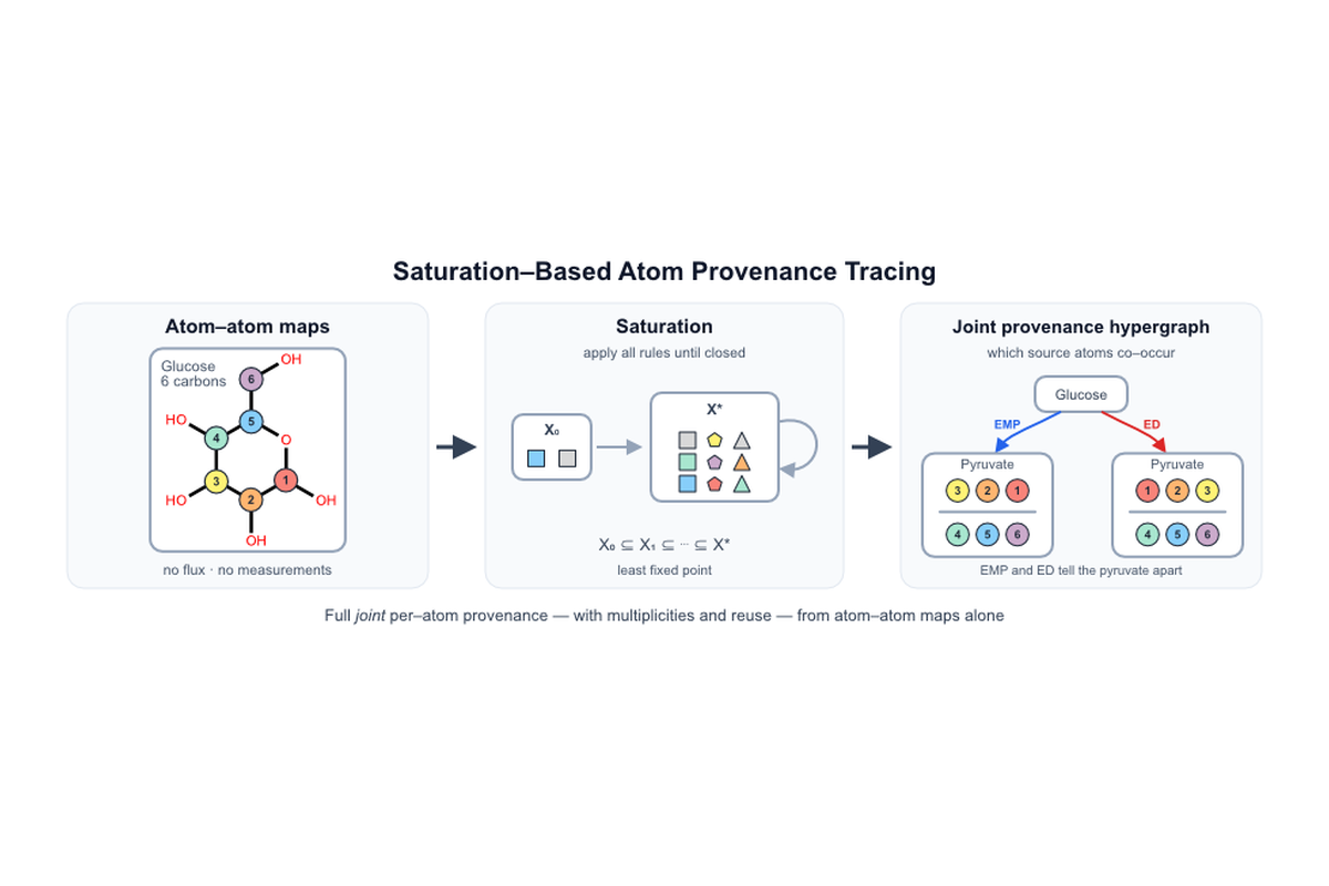 Saturation workflow for tracing atom provenance through a reaction network