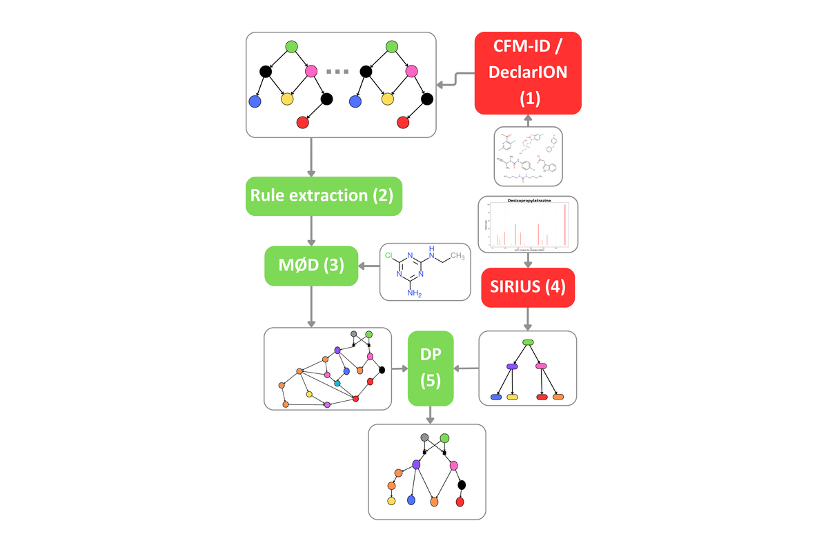Workflow from fragmentation reactions and spectra to a mechanistic fragment explanation